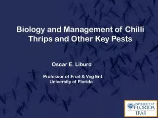 Biology and Management of Chilli T hrips and Other K ey P ests