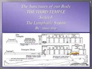 The Sanctuary of our Body THE THIRD TEMPLE Series 8 The Lymphatic System By : sister rose