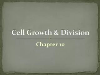 Cell Growth &amp; Division