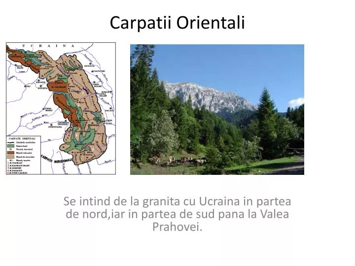 carpatii orientali