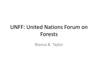 UNFF: United Nations Forum on Forests