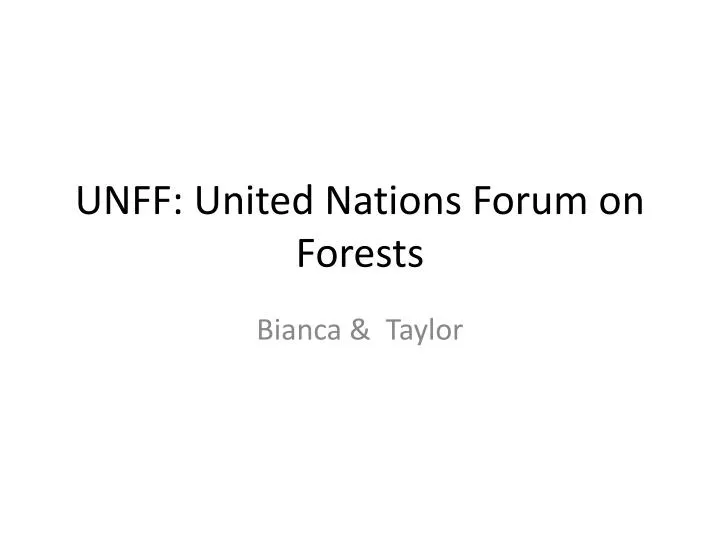 unff united nations forum on forests