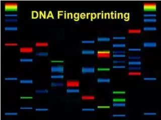 History of DNA Fingerprinting