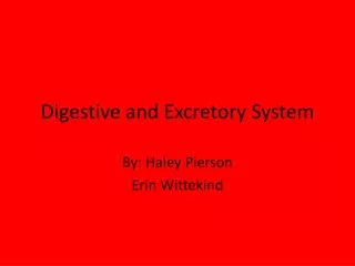 Digestive and Excretory System