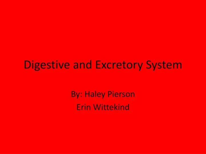 digestive and excretory system