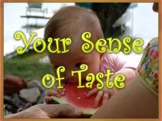 Your Sense of Taste