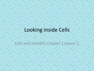 Looking inside Cells