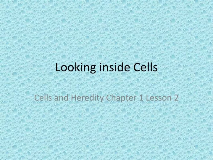 looking inside cells