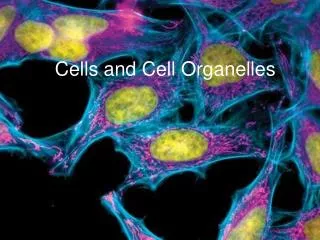 Cells and Cell Organelles