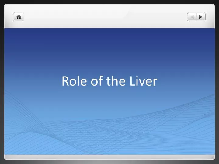 role of the liver