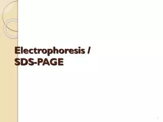 Electrophoresis / SDS-PAGE