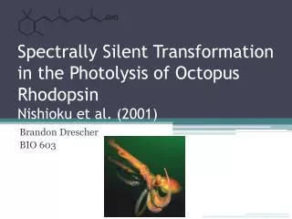 Spectrally Silent Transformation in the Photolysis of Octopus Rhodopsin Nishioku et al. (2001)
