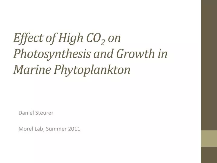 effect of high co 2 on photosynthesis and growth in marine phytoplankton