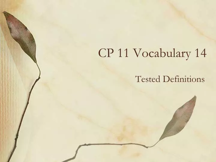 cp 11 vocabulary 14