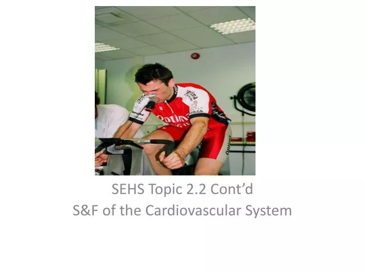 sehs topic 2 2 cont d s f of the cardiovascular system