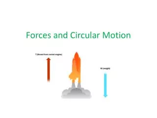 Forces and Circular Motion
