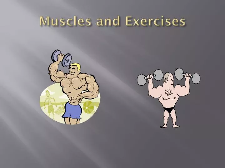muscles and exercises