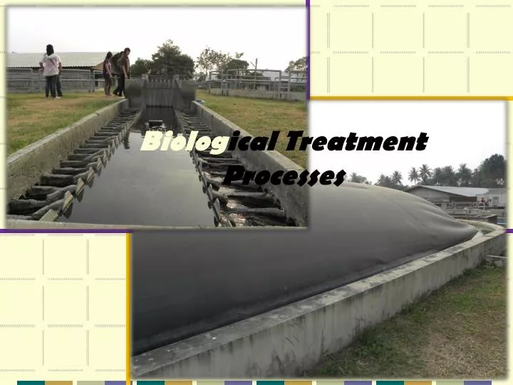 biolog ical treatment processes
