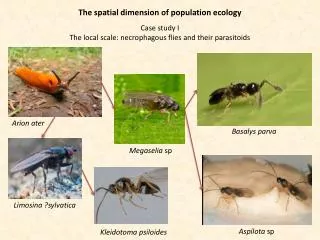 The spatial dimension of population ecology