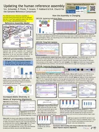 Updating the human reference assembly