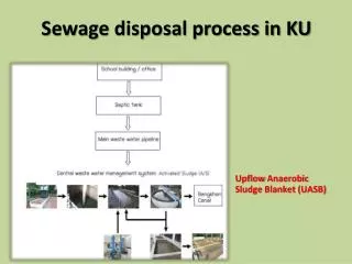 Sewage disposal process in KU
