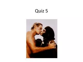 Quiz 5