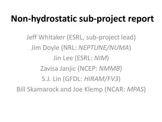 Non-hydrostatic sub-project report