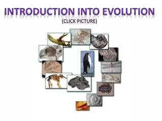 Introduction into evolution (click Picture)