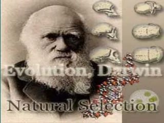 Darwin, Evolution, and Natural Selection