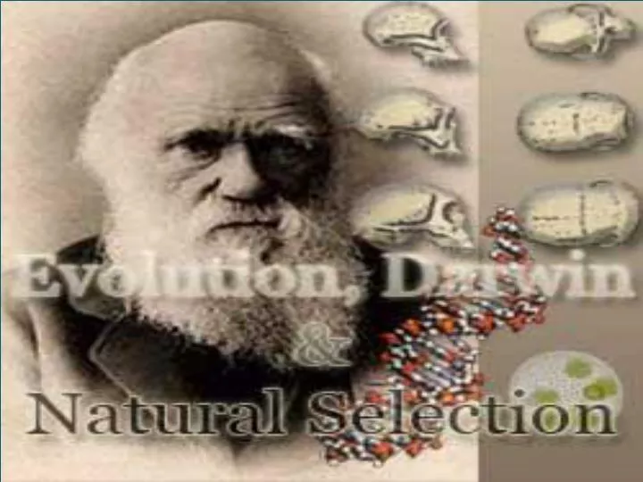 darwin evolution and natural selection