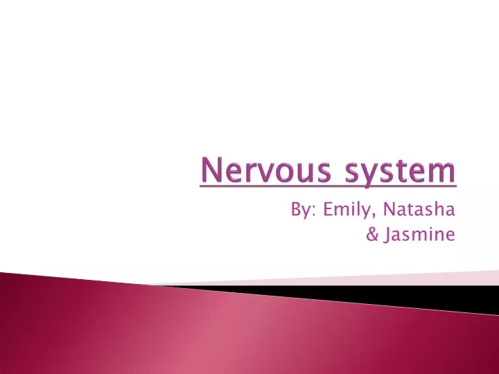 nervous system