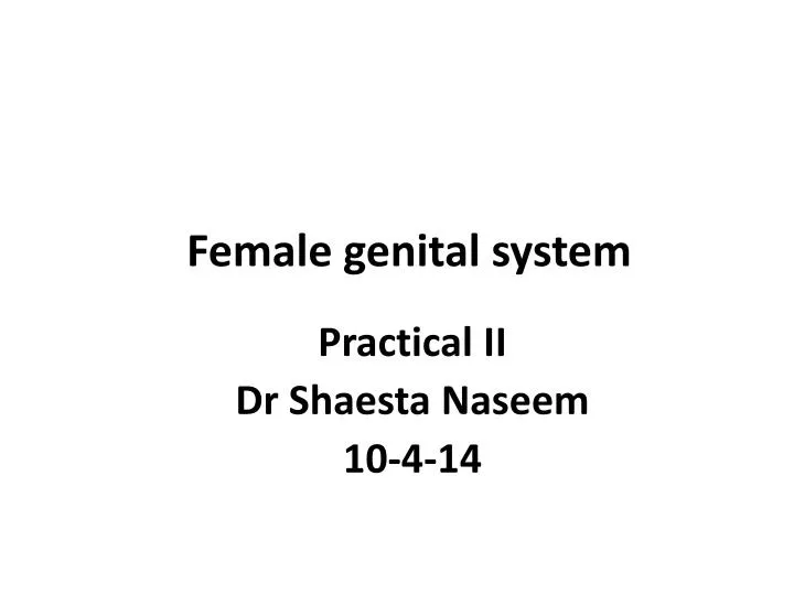 female genital system