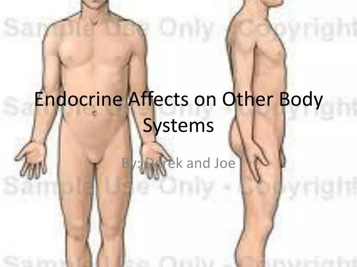 endocrine affects on other body systems