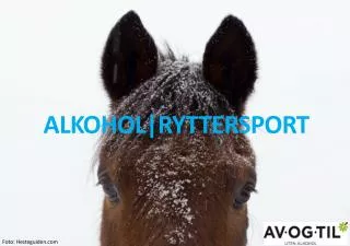 alkohol ryttersport