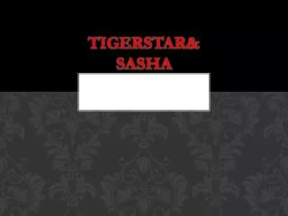 Tigerstar&amp;sasha