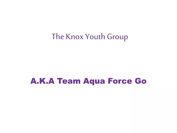 the k nox y outh group