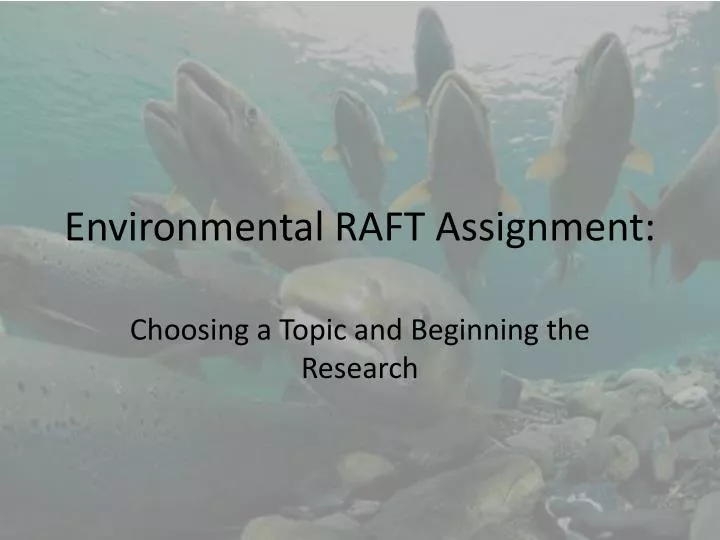 environmental raft assignment