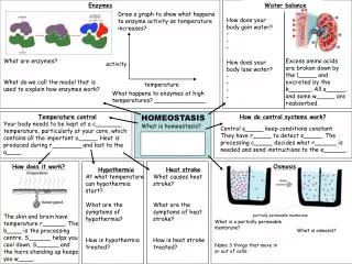 HOMEOSTASIS What is homeostasis?