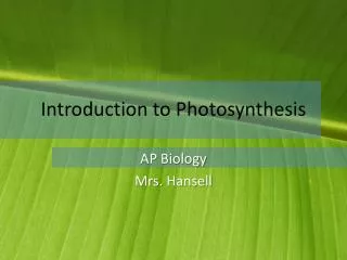 Introduction to Photosynthesis