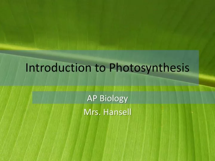 introduction to photosynthesis