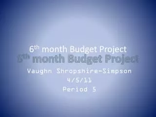6 th month Budget Project
