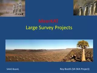 MeerKAT Large Survey Projects
