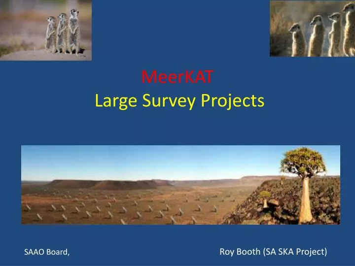 meerkat large survey projects