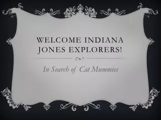 Welcome Indiana Jones Explorers!