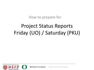 Project Status Reports Friday (UO) / Saturday (PKU)