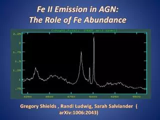 Fe II Emission in AGN: The Role of Fe Abundance