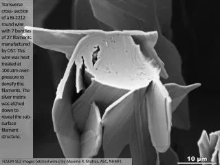 FESEM-BSE Image by Jianyi Jiang, ASC, NHMFL