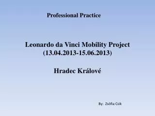 Leonardo da Vinci Mobility Project (13.04.2013-15.06.2013)