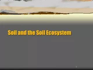 Soil and the Soil Ecosystem
