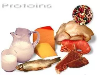 What are proteins???